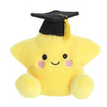 Palm Pals - 5" Magna Graduation Star