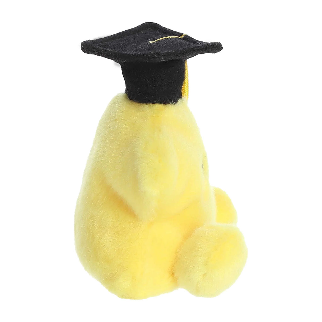 Palm Pals - 5" Magna Graduation Star
