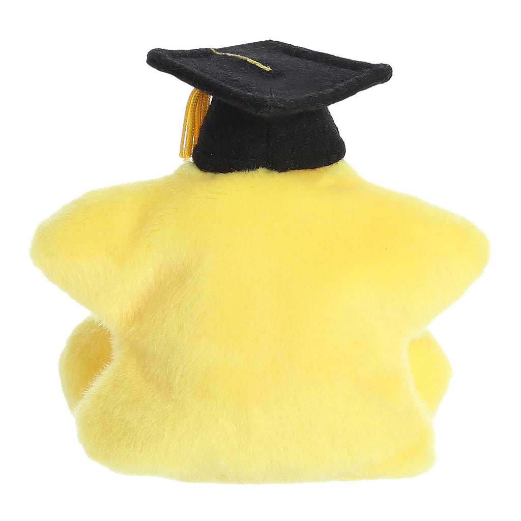 Palm Pals - 5" Magna Graduation Star