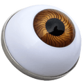 Brown Eye Ball Marker & Hat Clip by ReadyGOLF