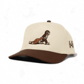 Punch Snapback Hat